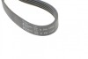 Ремень генератора (поликлиновый) HUTCHINSON 1094 K 5 (фото 4)