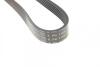 Ремінь генератора (поліклиновий) HUTCHINSON 1105 K 6 (фото 3)