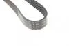 Ремінь генератора (поліклиновий) HUTCHINSON 1105 K 6 (фото 3)