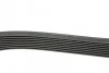 Ремень поликлиновой Mazda 6 2.0DI (02-) (1173K8) Hutchinson HUTCHINSON 1173 K 8 (фото 2)