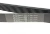 Ремень поликлиновой Mazda 6 2.0DI (02-) (1173K8) Hutchinson HUTCHINSON 1173 K 8 (фото 3)