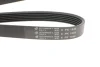 Поликлиновой ремень Poly V® (1545 K 6) Hutchinson HUTCHINSON 1545K6 (фото 4)