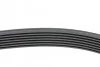 Поликлиновой ремень Poly V® (1637 K 7) Hutchinson HUTCHINSON 1637K7 (фото 2)