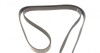 Полікліновий ремінь Poly V® (1778 K 6) HUTCHINSON 1778K6 (фото 5)