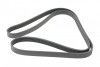 Ремень генератора (поликлиновый) HUTCHINSON 1875 K 6 (фото 5)