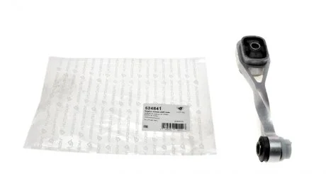 Опора ДВЗ задня Renault Megane I,Clio II Simbol Hutchinson HUTCHINSON 524841
