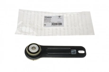 Сайлентблок балки Citroen C5/Peugeot 407 2.7HDI; 3.0HDi (05-08)  Hutchinson HUTCHINSON 524853