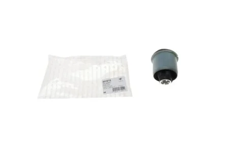Сайлентблок задней балки Renault Scenic II, Megane II (02-) Hutchinson HUTCHINSON 531613