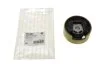 Опора двигателя задняя нижняя VW Caddy, Golf V, Touran Skoda Octavia, Superb, Yeti 1,9TDI-3,2 (03-13) Hutchinson HUTCHINSON 594582 (фото 1)