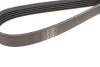 Поликлиновой ремень Poly V® BMW 7 (94-01)/Citroen Break (85-95)/Daewoo/Fiat Tempra (970K5) Hutchinson HUTCHINSON 970 K 5 (фото 4)