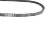Ремень (клиновый) HUTCHINSON AV 11.9 LA 876 (фото 2)