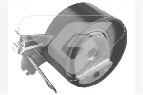 Натяжной ролик Citroen C3, C4/Peugeot 206, 307 1.4 16V (03-) Hutchinson HUTCHINSON HTG317