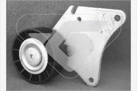 Ролик приводного ремня паразитный Citroen Berlingo (96-08) Hutchinson HUTCHINSON T0203