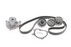 Комплект ременя генератора + помпа Opel Astra H/Zafira B 1.7D 07- (6PK1605) INA 529 0330 30 (фото 1)