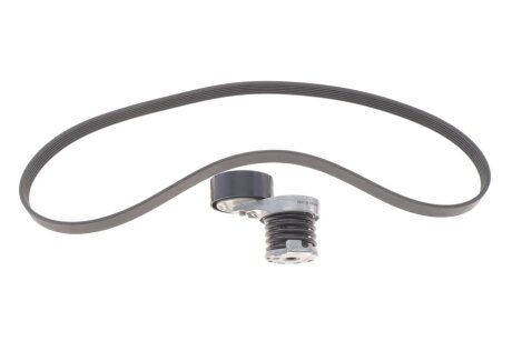 К-т,поліклиновий пас+натягувач INA 529033910