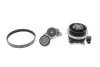 Комплект ременя генератора + помпа VW Golf/Passat/Touran 1.4 TSI 05-. (5PK493) INA 529 0340 30 (фото 1)