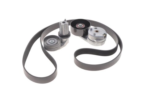 Комплект (ремень+ролики) INA 529 0445 10 (фото 1)