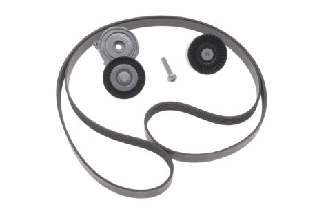 Комплект (ремінь+ролики) INA 529 0509 10