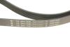 Комплект ремня генератора INA 529 0551 10 (фото 4)