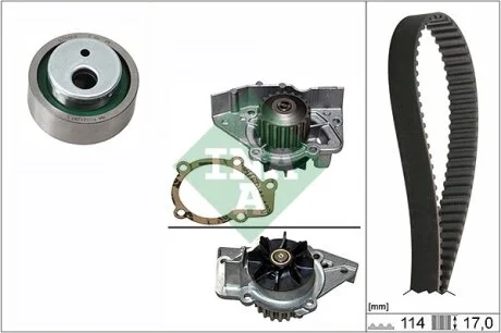 Комплект ГРМ, пас+ролик+помпа INA 530025831
