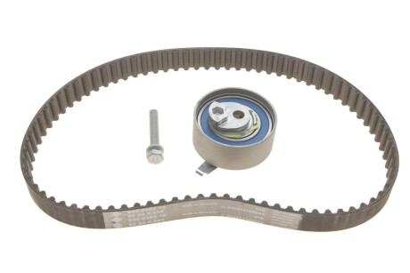 Комплект ремня ГРМ INA 530 0501 10