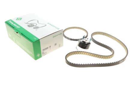 Комплект ремня ГРМ INA 530 0700 10