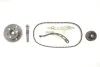 Комплект ГРМ Ford Transit Connect 1.8TDCi/Di, 02-13, 55/66/81kw INA 530 0950 10 (фото 1)