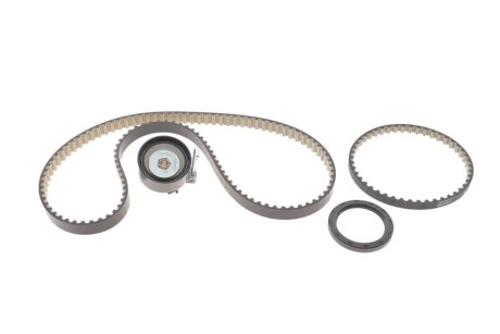 Комплект ГРМ Ford B-Max/C-Max/Fiesta/Mondeo 1.0 Ecoboost 12- INA 530 0958 10