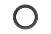 Комплект ГРМ Ford B-Max/C-Max/Fiesta/Mondeo 1.0 Ecoboost 12- INA 530 0958 10 (фото 5)