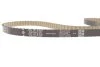Комплект ГРМ Ford B-Max/C-Max/Fiesta/Mondeo 1.0 Ecoboost 12- INA 530 0958 10 (фото 10)