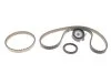 Комплект ГРМ Ford Focus III/Fiesta VI/VII 1.0 12- INA 530 0960 10 (фото 1)