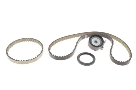 Комплект ГРМ Ford Focus III/Fiesta VI/VII 1.0 12- INA 530 0960 10