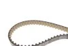 Комплект ГРМ Ford Focus III/Fiesta VI/VII 1.0 12- INA 530 0960 10 (фото 10)