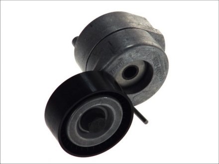 Натяжитель приводного ремня INA 534 0053 10