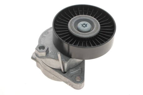 Натяжитель ремня генератора INA 534 0114 20