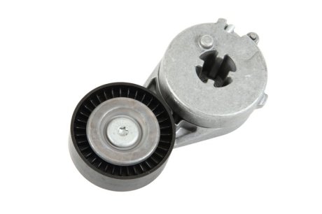 Натяжитель приводного ремня INA 534 0333 10