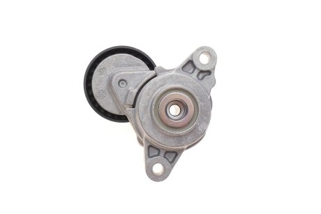 Натяжитель ремня генератора INA 534 0795 10