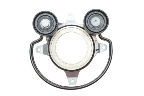 Натяжник Audi Q5 INA 534 0910 10