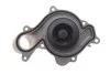 Помпа води Audi Q5/Q7/Q8/VW Touareg 3.0TSI/SQ5 TFSI quattro/Mild Hybrid 16- INA 538 1067 10 (фото 4)