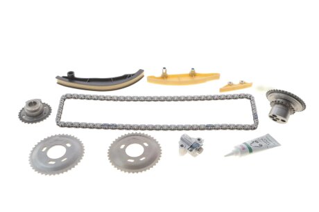 Комплект ланцюгів привода INA 559 1000 31