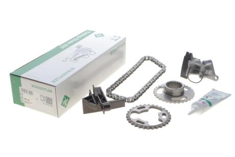 Комплект ланцюгів привода INA 559 1822 30