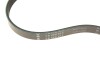 Ремень генератора(приводной) INA FB 5PK813 (фото 5)
