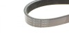Ремень генератора поликлиновый INA FB 6XPK903 (фото 3)