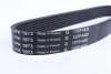 Ремень приводной с длиной круга более 180см, но не более 240см INA FB7PK1973 (фото 3)