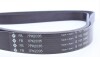Ремень генератора поликлиновый INA FB 7PK2035 (фото 2)