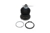 Шаровая опора (шарнир) PARTS KAVO SBJ-2002 (фото 1)