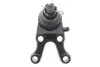 Шаровая опора (шарнир) PARTS KAVO SBJ-5506 (фото 5)