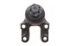 Шаровая опора (шарнир) PARTS KAVO SBJ-6502 (фото 4)