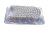 Вкладыши шатунные комплект BMW/OPEL/LAND ROVER 325,330,525,530,730,X3,X5,X6,Range Rover,Omega B 3,0D KOLBENSCHMIDT 77218610 (фото 4)