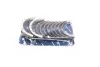 Вкладыши коренные OPEL 2.0D X 20 DTL 2.2 X 22 DTH +0.50 KOLBENSCHMIDT 77527620 (фото 1)